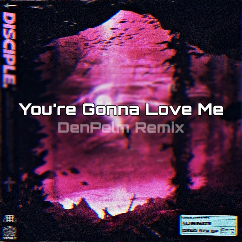 Eliminate - You're Gonna Love Me (DenPelm Remix)